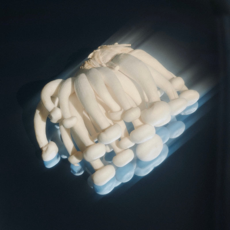 Finding Calm in the Chaos: How Adaptogens Can Help Manage Stress